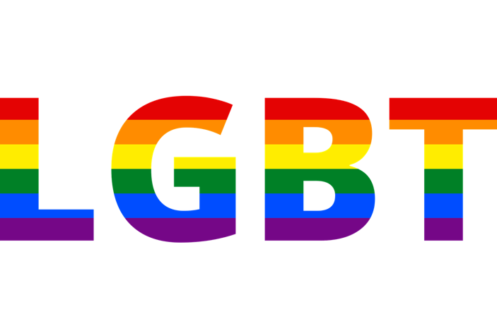 LGBT「パートナーシップ認証制度の創設を求める請願」の採決 | 日高市議会12月議会報告