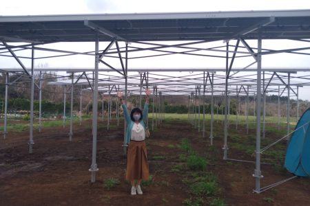 日高市内にとうとう完成！農福連携の ソーラーシェアリング第一号！